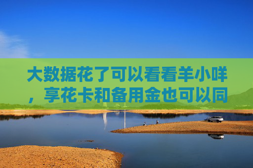大数据花了可以看看羊小咩，享花卡和备用金也可以同时下款了！