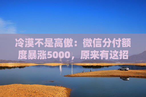 冷漠不是高傲：微信分付额度暴涨5000，原来有这招！
