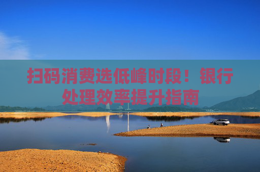 扫码消费选低峰时段！银行处理效率提升指南