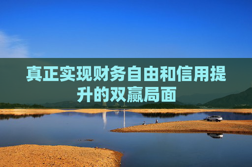真正实现财务自由和信用提升的双赢局面