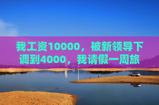我工资10000，被新领导下调到4000，我请假一周旅游，不回工作消息，然后公司损失300万订单