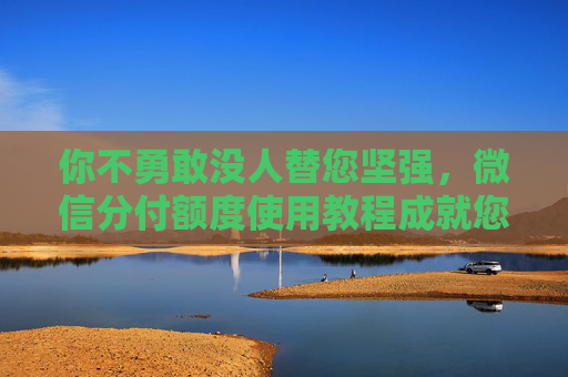 你不勇敢没人替您坚强，微信分付额度使用教程成就您辉煌人生