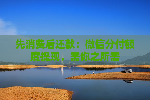 先消费后还款：微信分付额度提现，需你之所需