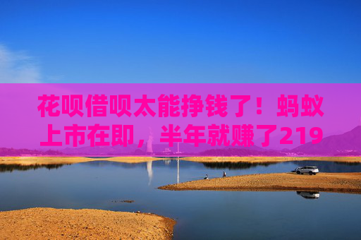 花呗借呗太能挣钱了！蚂蚁上市在即，半年就赚了219亿元