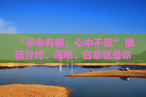 “手中有粮，心中不慌” 微信分付、花呗、白条就是你的“电子粮仓”！ 第2张