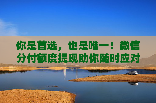 你是首选，也是唯一！微信分付额度提现助你随时应对资金周转