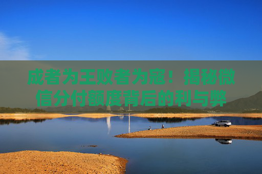 成者为王败者为寇！揭秘微信分付额度背后的利与弊