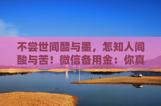 不尝世间醋与墨，怎知人间酸与苦！微信备用金：你真的会用吗？六大步骤详解