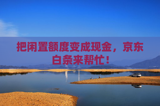 把闲置额度变成现金，京东白条来帮忙！