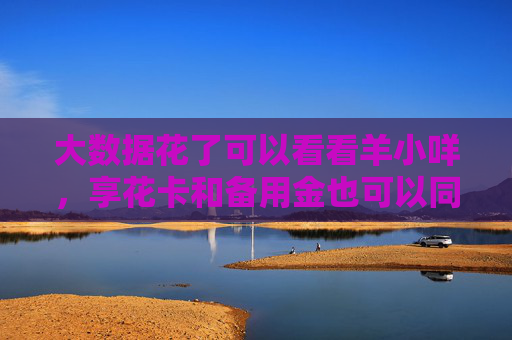 大数据花了可以看看羊小咩，享花卡和备用金也可以同时下款了！
