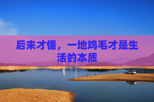 后来才懂，一地鸡毛才是生活的本质