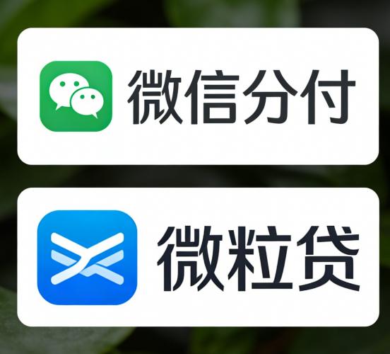 微信分付 vs 微粒贷 区别在哪？哪个更适合日常消费？ 第3张
