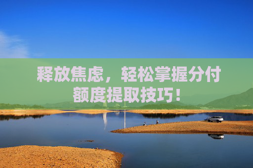  释放焦虑，轻松掌握分付额度提取技巧！