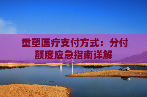  重塑医疗支付方式：分付额度应急指南详解