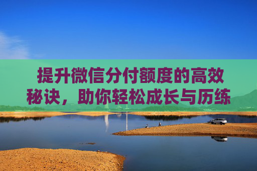  提升微信分付额度的高效秘诀，助你轻松成长与历练