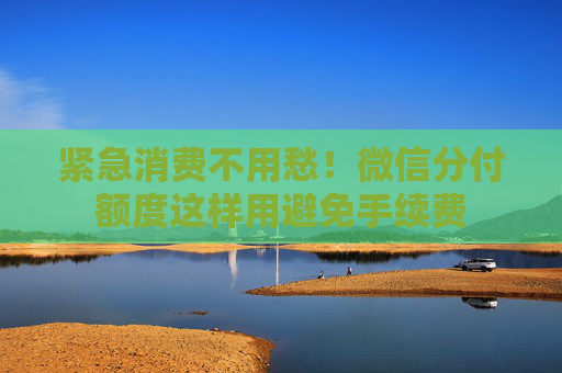 紧急消费不用愁！微信分付额度这样用避免手续费