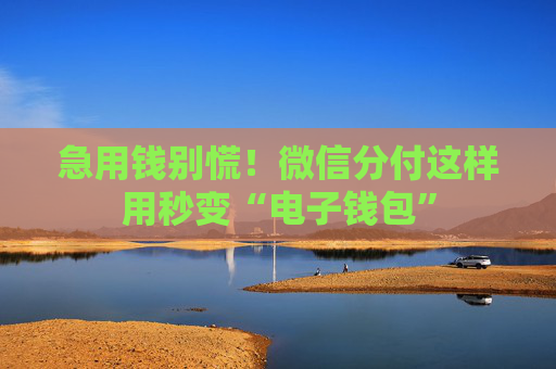 急用钱别慌！微信分付这样用秒变“电子钱包”