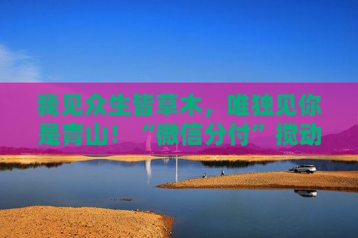 我见众生皆草木，唯独见你是青山！“微信分付”搅动消费贷市场