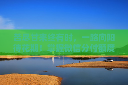 苦尽甘来终有时，一路向阳待花期！掌握微信分付额度提现的技巧：详细步骤解析