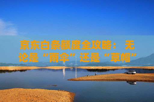 京东白条额度全攻略： 无论是“雨伞”还是“草帽”，能解渴的才是好水 第1张