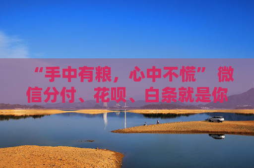 “手中有粮，心中不慌” 微信分付、花呗、白条就是你的“电子粮仓” 第2张