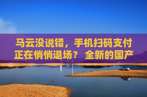 马云没说错，手机扫码支付正在悄悄退场？ 全新的国产支付革命来了 第2张