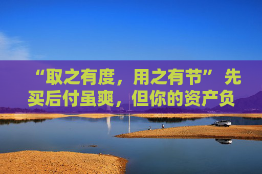 “取之有度，用之有节” 先买后付虽爽，但你的资产负债率扛得住吗？ 第1张