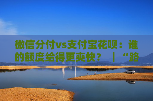 微信分付vs支付宝花呗：谁的额度给得更爽快？ ｜“路遥知马力”，长期使用对比报告