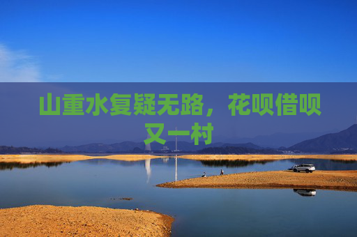 山重水复疑无路，花呗借呗又一村