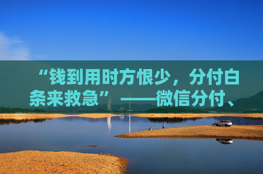 “钱到用时方恨少，分付白条来救急” ——微信分付、京东白条，你的随身应急钱包