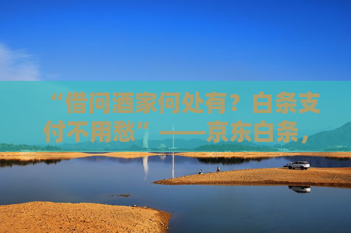 “借问酒家何处有？白条支付不用愁”——京东白条，购物消费一键搞定 第1张
