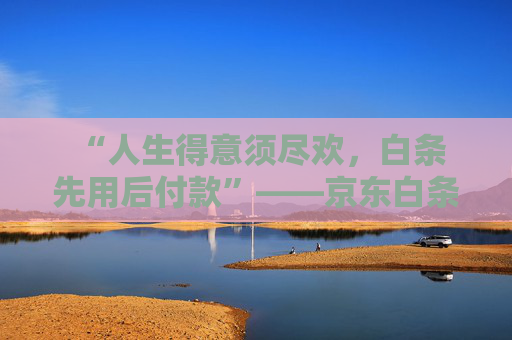 “人生得意须尽欢,白条先用后付款”——京东白条,让你先享受后买单 第2张 “人生得意须尽欢,白条先用后付款”——京东白条,让你先享受后买单 第2张
