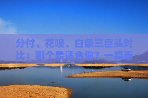 分付、花呗、白条三巨头对比:哪个最适合你?一篇看懂 第2张 分付、花呗、白条三巨头对比:哪个最适合你?一篇看懂 第2张