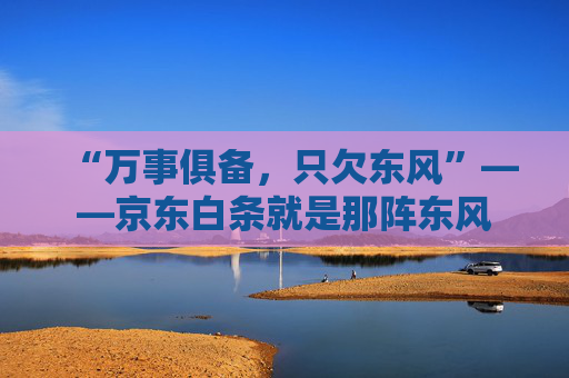 “万事俱备，只欠东风”——京东白条就是那阵东风 第1张