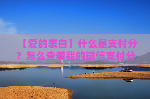 【爱的表白】什么是支付分？怎么查看我的微信支付分额度？ 第2张