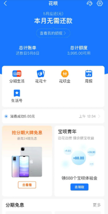 掌握花呗额度使用技巧：巧妙周转，轻松应对生活开支