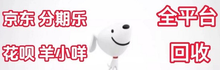 智慧理财新选择：深入解析京东白条额度提现技巧