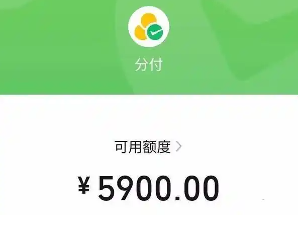 没有等来的辉煌，只有拼来的精彩！轻松取出分付额度，让钱包鼓起来！