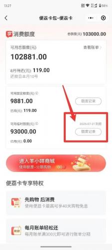 从羊小咩便荔卡包变现到微信：新手必看教程！