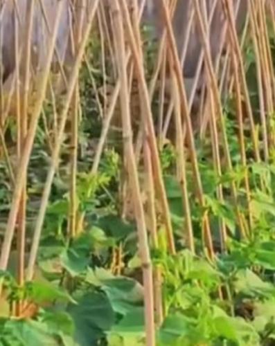 心若安处，身自无恙 第4张