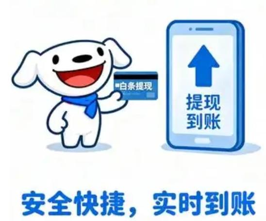 京东白条额度取出全攻略 无论是“雨伞”还是“草帽”，能解渴的才是好水 第4张